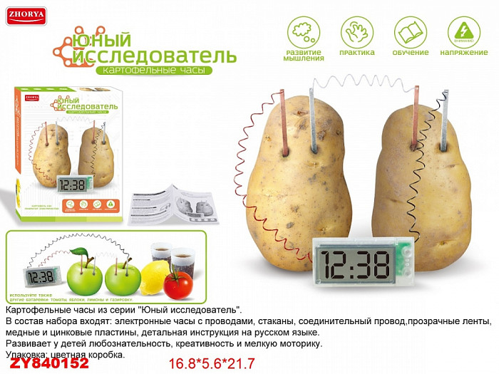 Опыты в коробке.Часы картофельные 17*22*6см  ZYB-B2895